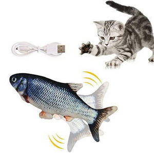 Elektrischer Katzenfisch