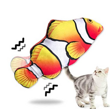 Laden Sie das Bild in den Galerie-Viewer, Elektrischer Katzenfisch
